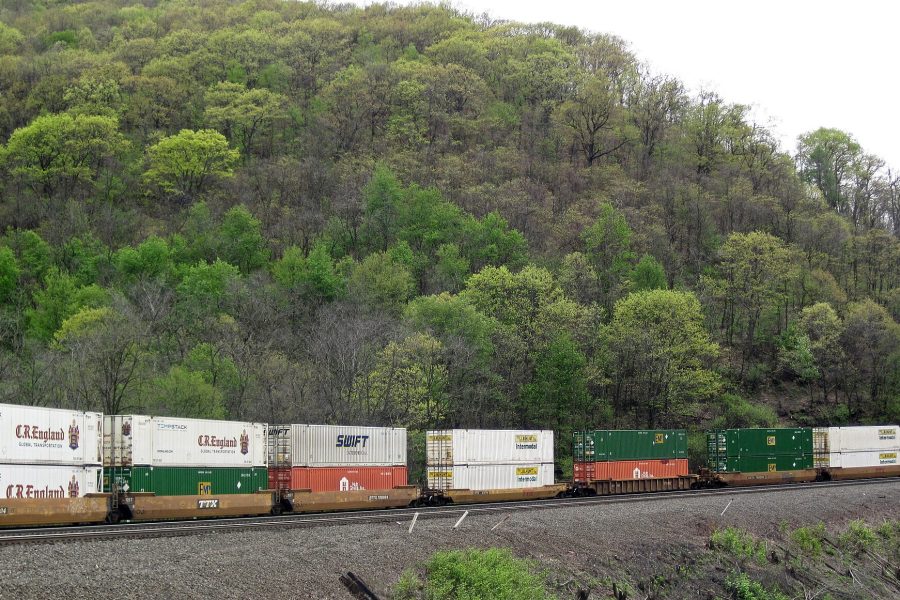 A loaded container train running through wooded country